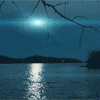 Avatar-animado-Naturaleza-326.gif
