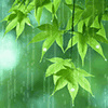 Avatar-animado-Naturaleza-330.gif