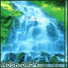 Avatar-animado-Naturaleza-332.gif