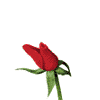 Avatar-animado-Naturaleza-35.gif