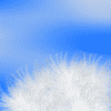 Avatar-animado-Naturaleza-350.gif