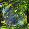 Avatar-animado-Naturaleza-356.gif