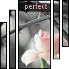 Avatar-animado-Naturaleza-36.gif