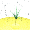 Avatar-animado-Naturaleza-372.gif
