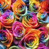 Avatar-animado-Naturaleza-375.gif