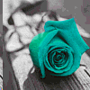 Avatar-animado-Naturaleza-380.gif