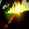 Avatar-animado-Naturaleza-383.gif