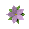 Avatar-animado-Naturaleza-49.gif