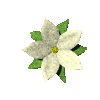 Avatar-animado-Naturaleza-51.gif