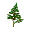 Avatar-animado-Naturaleza-54.gif