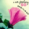 Avatar-animado-Naturaleza-56.gif