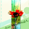 Avatar-animado-Naturaleza-65.gif