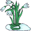 Avatar-animado-Naturaleza-66.gif