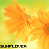 Avatar-animado-Naturaleza-69.gif
