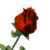 Avatar-animado-Naturaleza-71.gif