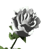 Avatar-animado-Naturaleza-91.gif