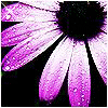 Avatar-animado-Naturaleza-97.gif