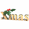 Avatar-animado-Navidad-169.gif