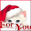 Avatar-animado-Navidad-25.gif