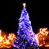 Avatar-animado-Navidad-77.gif