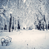 Avatar-animado-Nieve-31.gif