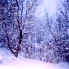 Avatar-animado-Nieve-74.gif