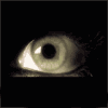 Avatar-animado-Ojos-149.gif