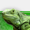 Avatar-animado-Reptil-11.gif