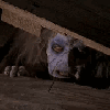 Avatar-animado-Terror-177.gif