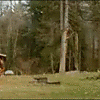 Avatar-animado-Terror-183.gif