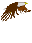 Imagen-animada-Aguila-19.gif