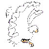 Imagen-animada-Aguila-22.gif