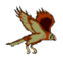 Imagen-animada-Aguila-24.gif