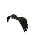 Imagen-animada-Aguila-26.gif
