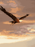 Imagen-animada-Aguila-30.gif