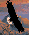 Imagen-animada-Aguila-32.gif
