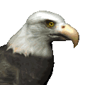 Imagen-animada-Aguila-45.gif