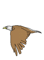 Imagen-animada-Aguila-46.gif