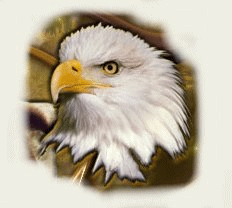 Imagen-animada-Aguila-51.gif