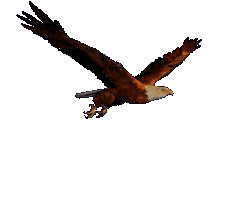 Imagen-animada-Aguila-53.gif