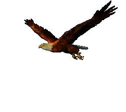 Imagen-animada-Aguila-55.gif
