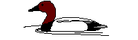 Imagen-animada-Anade-02.gif