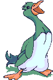 Imagen-animada-Anade-03.gif