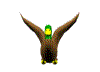 Imagen-animada-Anade-05.gif