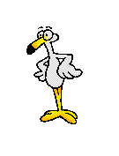 Imagen-animada-Ave-100.gif