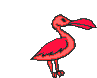 Imagen-animada-Ave-103.gif