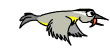 Imagen-animada-Ave-104.gif