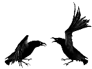 Imagen-animada-Ave-112.gif