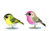 Imagen-animada-Ave-126.gif