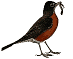 Imagen-animada-Ave-129.gif